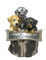 De hand goot Zonnelicht van de 3 Puppy het Welkome Tuin voor Aanvaardbaar Binnenplaatsoem leverancier